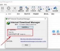 IDM下载器