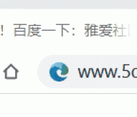 浏览器显示动态标签代码