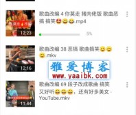 XPlayer 2.1.9.1 安卓视频播放器