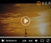 CkplayerX3教程,CkplayerX3网页播放器